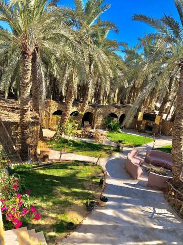 Arkan siwa أركان سيوة (Arkan siwa أركان سيوة) in 西瓦