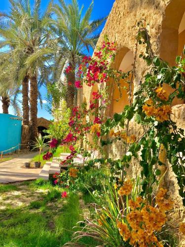 Arkan siwa أركان سيوة (Arkan siwa أركان سيوة) in 西瓦
