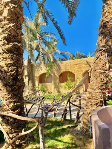 Arkan siwa أركان سيوة (Arkan siwa أركان سيوة) in 西瓦