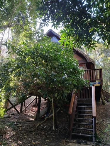 外部景觀, Peaceful Forest Getaway in Natures Valley in 貴斯