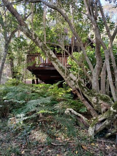 外部景觀, Peaceful Forest Getaway in Natures Valley in 貴斯