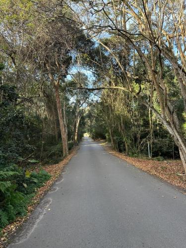 景觀, Peaceful Forest Getaway in Natures Valley in 貴斯