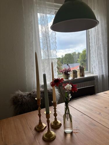 Grandmothers home in Randers City Center