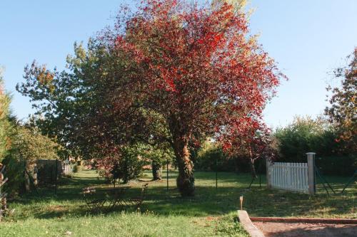 Appartement Jungle Cosy - Bureau & Fibre - Proche Futuroscope - Location saisonnière - Jaunay-Marigny