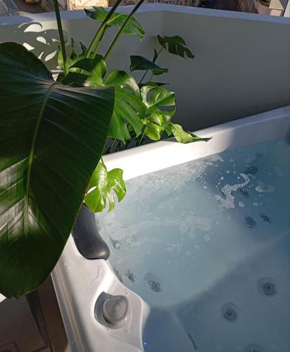 AirRent Apartments 4 Jacuzzi Suite, Atény