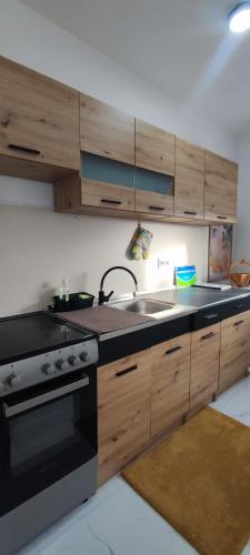 Apartman Maja 46 in Добой