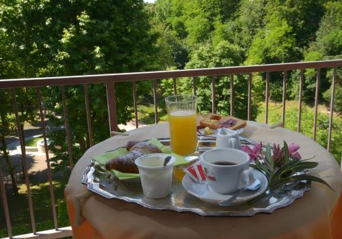 Hotel Salus - image 3