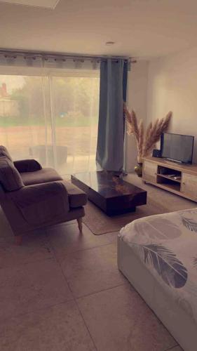 Grand studio cosy avec terrasse - Location saisonnière - Joué-lès-Tours