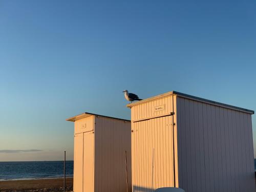 Zoute74 - Luxury Penthouse - Location saisonnière - Knokke-Heist