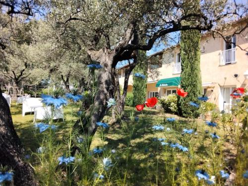 . La Picholine en Provence