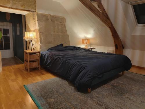 Maison au cœur des châteaux. (Maison au cœur des chateaux.) in La Chapelle-aux-Naux