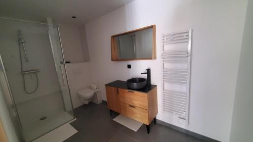 Studio tout confort spacieux et lumineux in Allemont