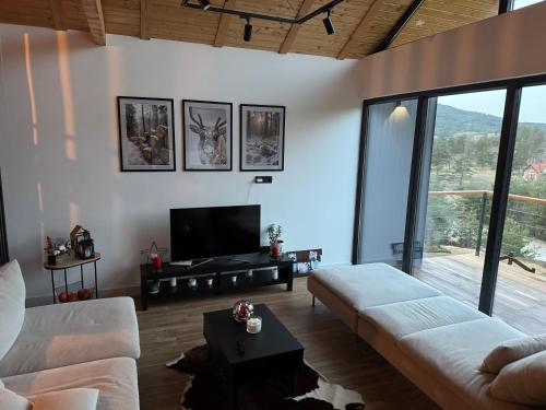 Vamas Villa - image 3