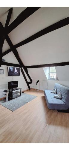 L'Envolée Mansardée - Center - Location saisonnière - Chartres