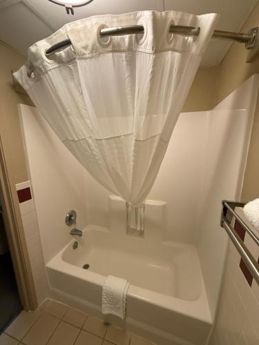 Rodeway Inn - image 2