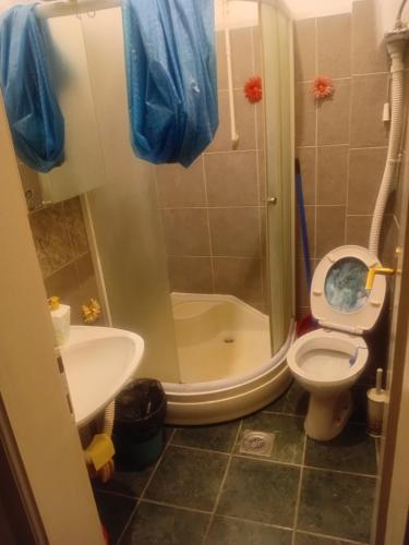 Sindi Apartman in Backa Palanka