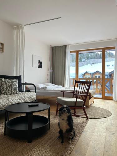 Studio apartment ASKA - Accommodation - Jahorina