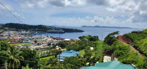 M&G City View Apartments in Kingstown