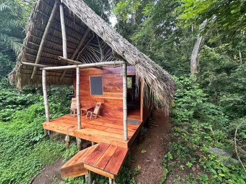 Writer's Cabin