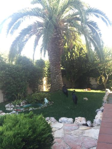  La Casa di Walter in Palata