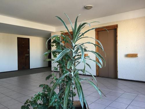 ردهة, Vista Al Lago Apartments in سان كارلوس دي باريلوتش