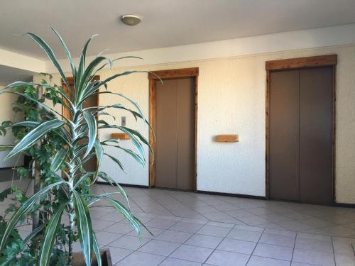 ردهة, Vista Al Lago Apartments in سان كارلوس دي باريلوتش