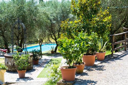 La Collina Del Sole – Capannori, MN