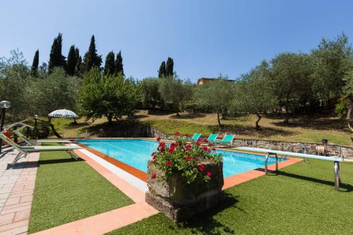 La Collina Del Sole – Capannori, MN