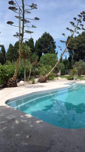 Mas Amor Vacances de Rêve - Location, gîte - Saint-Rémy-de-Provence