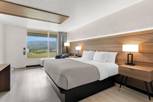 品質酒店及套房 (Quality Inn & Suites) in 威特維爾