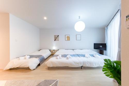 CASAS-k 住吉大社 103号室