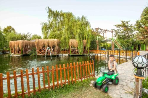 Otantik Tas Ev - image 12