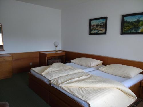 Hotel BESTAR in Mlada Boleslav