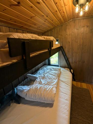 Viesnīcas āriene, Modernized Mountain Cabin Near Treungen in Gautefall