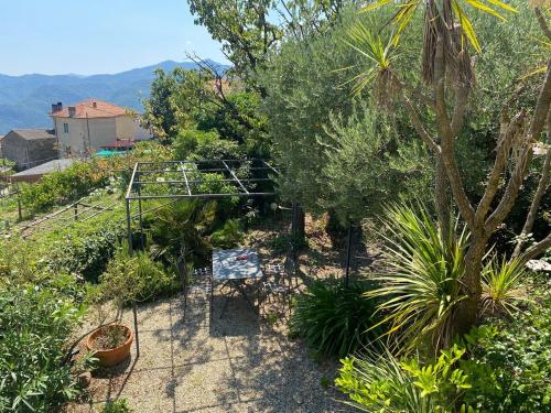 Ferienhaus Casa Pino mit eingezäuntem Garten in Ligurien zur Alleinnutzung (Ferienhaus Casa Pino mit eingezauntem Garten in Ligurien zur Alleinnutzung) in Borghetto dʼArroscia