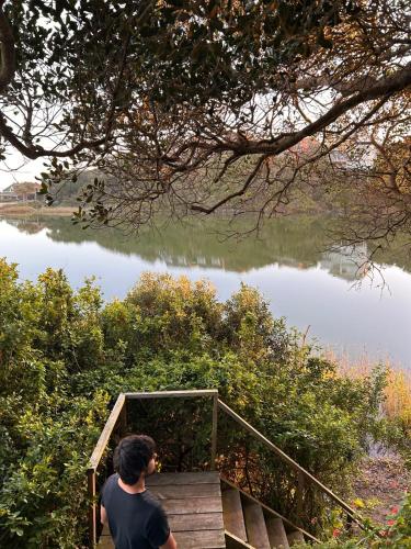 . Explore River Cottage Ocean View