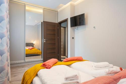Karkonosky Apartamenty- Salamandra, Szklarska Poręba (foto 9)