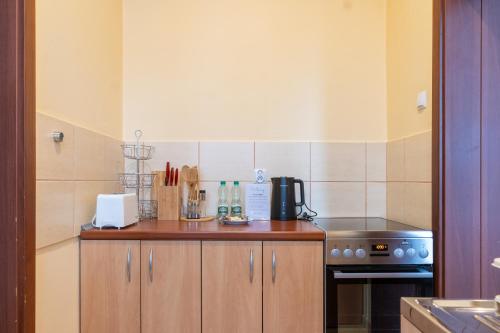virtuve, Mysłowice Urban Harmony Apartment by BookingHost (Myslowice Urban Harmony Apartment by BookingHost) in Myslowice