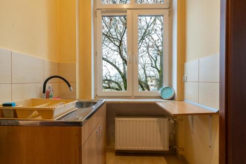 virtuve, Mysłowice Urban Harmony Apartment by BookingHost (Myslowice Urban Harmony Apartment by BookingHost) in Myslowice