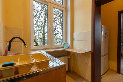 virtuve, Mysłowice Urban Harmony Apartment by BookingHost (Myslowice Urban Harmony Apartment by BookingHost) in Myslowice
