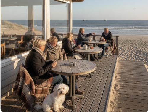 Budget Beach Room for Short Stays in Zoutelande in Заутеланде