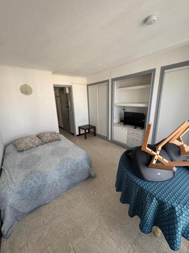 Studio nouvelle gare - Location saisonnière - Perpignan