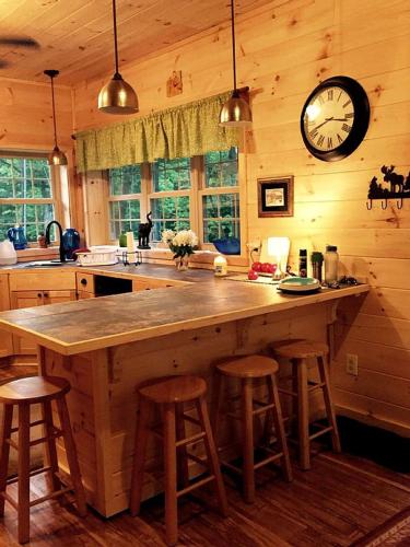 Pristine and Cozy Cabin Rental Overlooking Pond near Rochester, New York in Naples (NY)