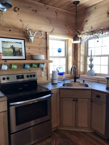 Pristine and Cozy Cabin Rental Overlooking Pond near Rochester, New York in Naples (NY)