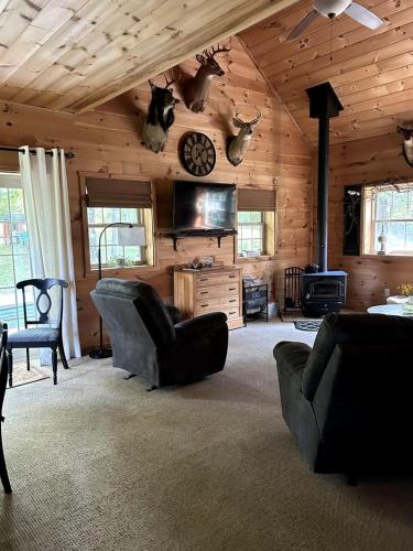Pristine and Cozy Cabin Rental Overlooking Pond near Rochester, New York in Naples (NY)