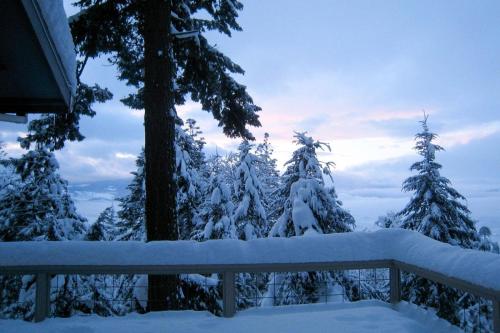 Fir Mtn-Rv/Mt View-HT-4BR/3.5B - image 11