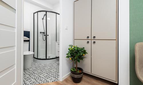 Apartament Szpitalna 21 Zabrze in Zabrze