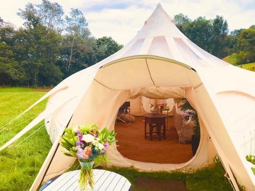 Hilly Haven & Luxury Wagon in the Forest of Dean in Newland