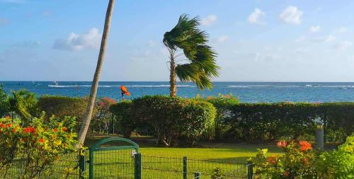 Savannah Guadeloupe - Location saisonnière - Saint-François