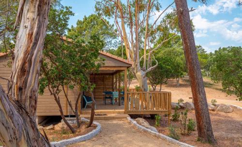 Camping California - Camping - Zonza